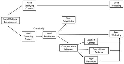 mHealth: Potentials and Risks for Addressing Mental Health and Well-Being Issues Among Nepali Adolescents